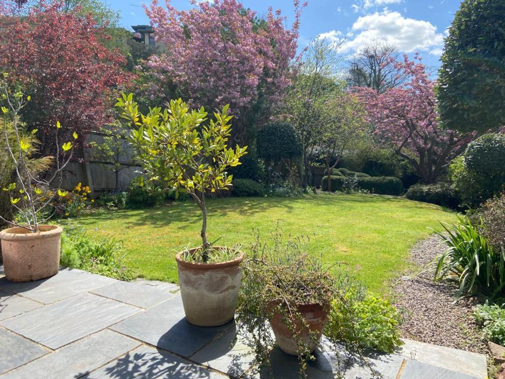 Clifton Garden Flat With Parking Daire Bristol Dış mekan fotoğraf
